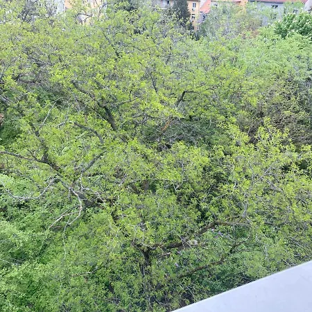 Apartamento Roland - Puskas Budapest